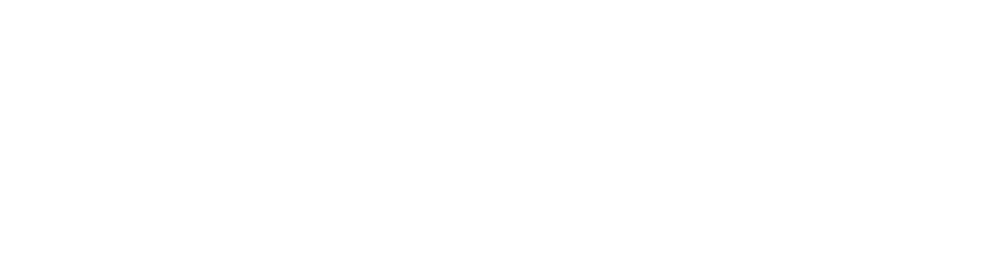 Training Workshops